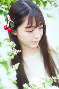 丁香花完整视频在线观看